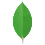 MongoDB