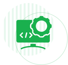 Custom Web Development  