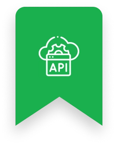 API Integration and Optimization