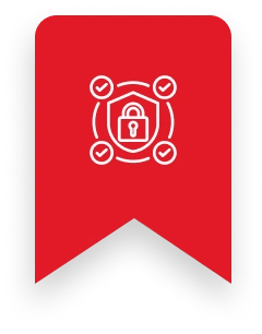 Enterprise-Grade Security Solutions