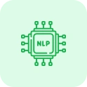 Natural Language Processing (NLP)