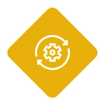 Ongoing Support and Optimization