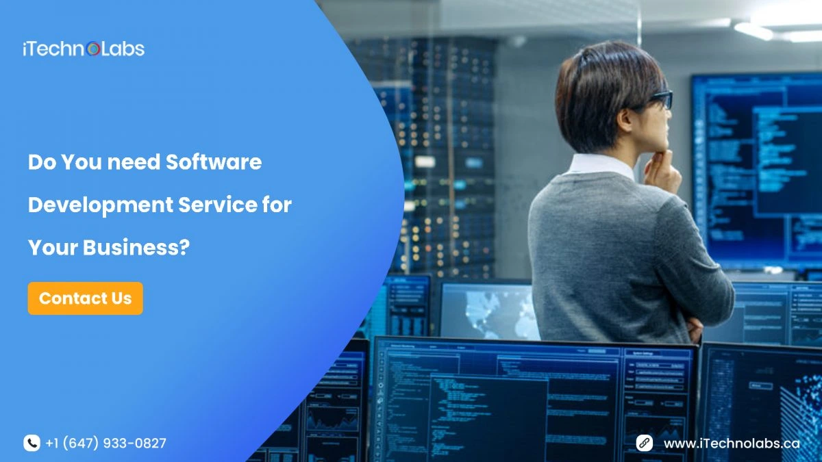 do-you-need-software-development-service-for-your-business-itechnolabs