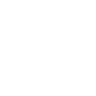 Python API Development Services