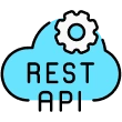REST APIs