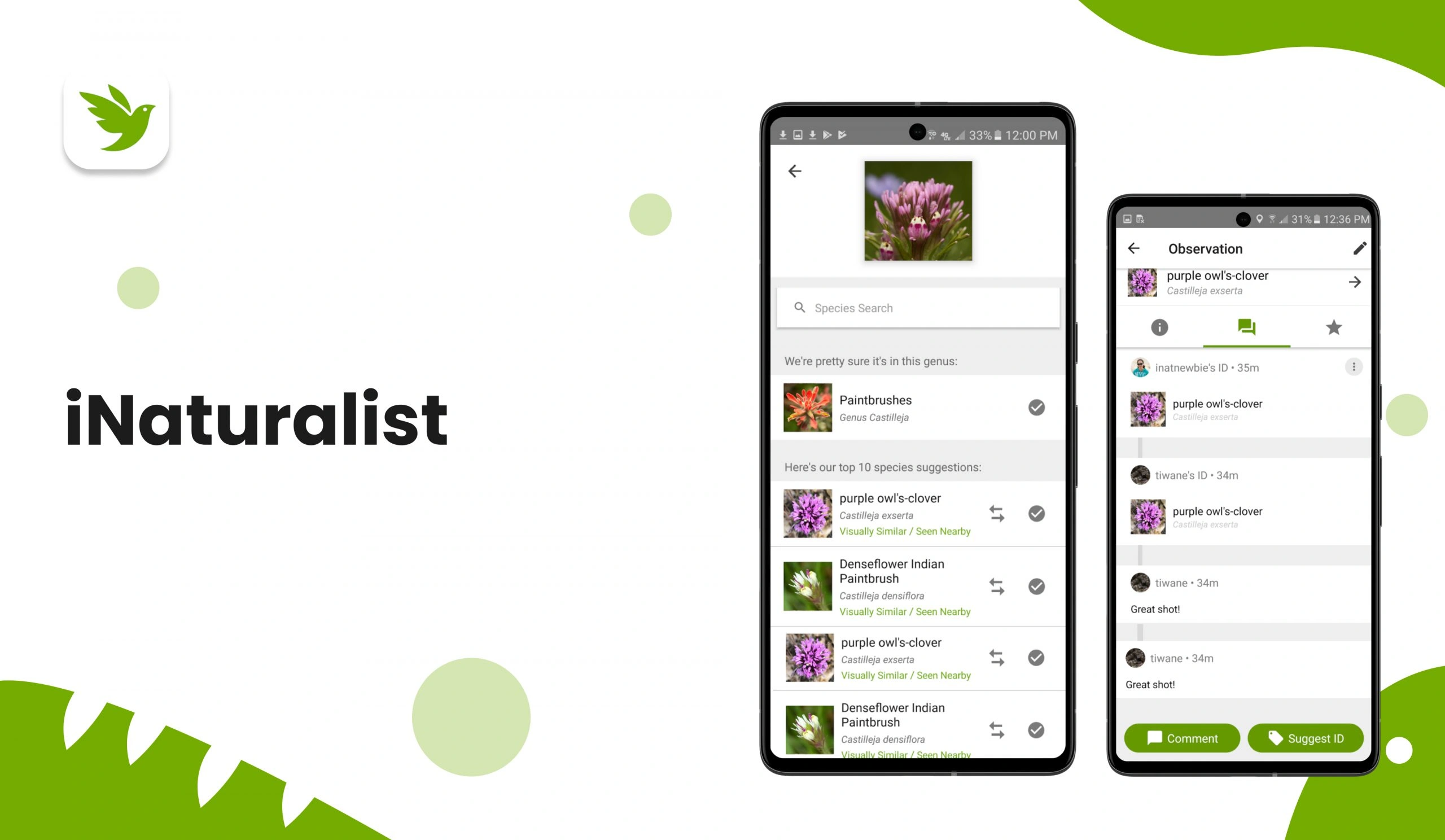 iNaturalist