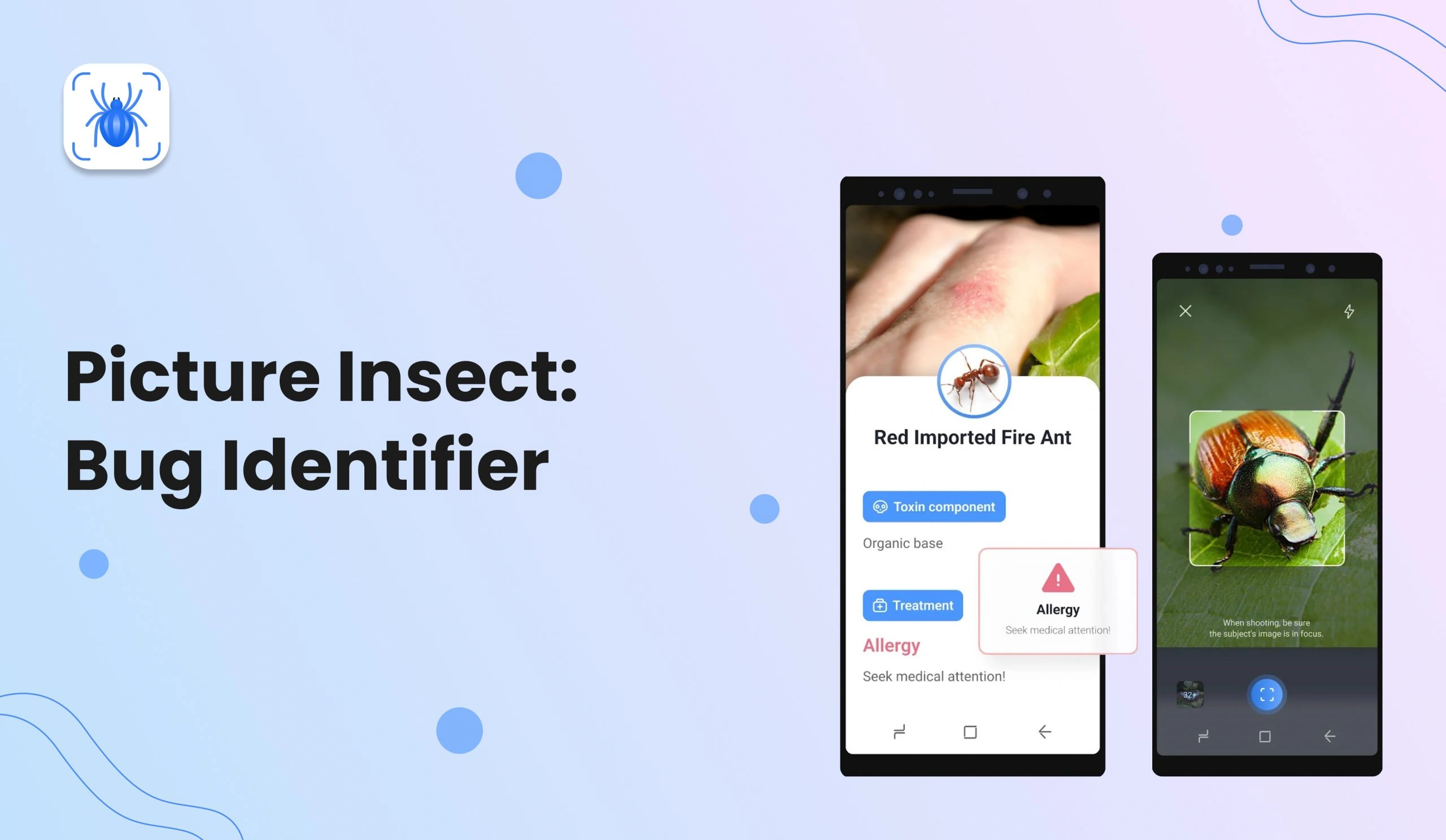 Picture Insect - Bug Identifier
