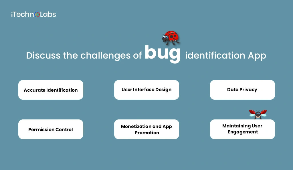 iTechnolabs-Discuss-the-challenges-of-bug-identification-App