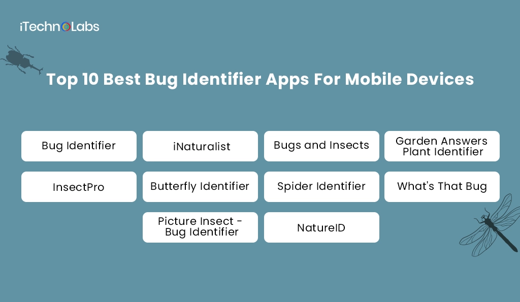 iTechnolabs-Top 10 Best Bug Identifier Apps For Mobile Devices