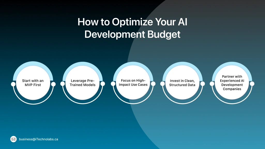 How to Optimize Your AI Development Budget